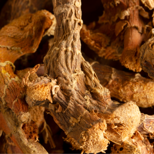 Dried Galangal